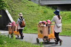おでかけ