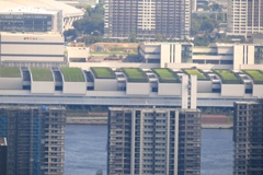 緑の屋根の豊洲市場