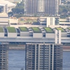 緑の屋根の豊洲市場