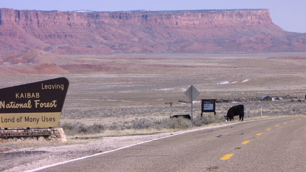 Vermillion Cliffs2