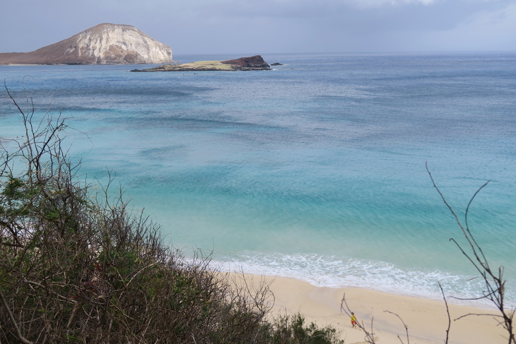 コバルトブルーの海