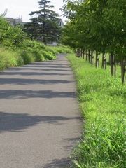 散歩道