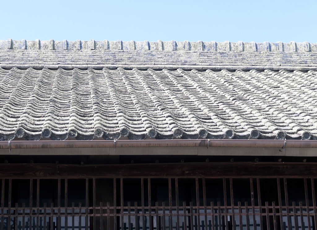 瓦に生えた地衣類