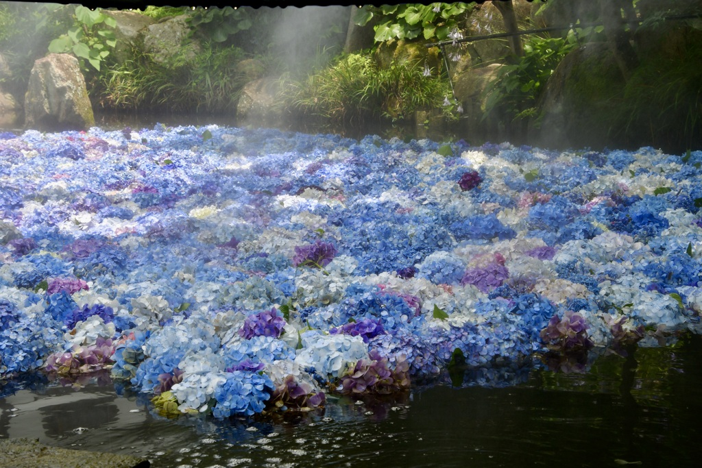 水中華