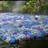 水中華