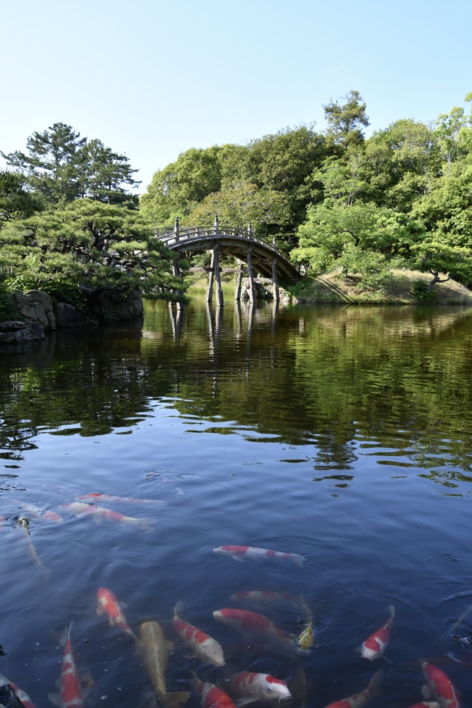 栗林公園