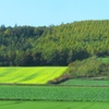 北海道