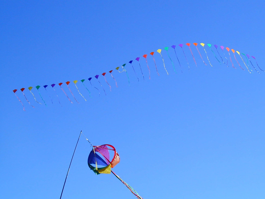 青空にたなびく連凧