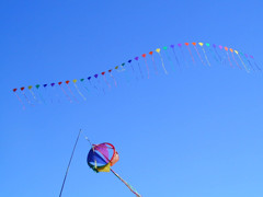 青空にたなびく連凧