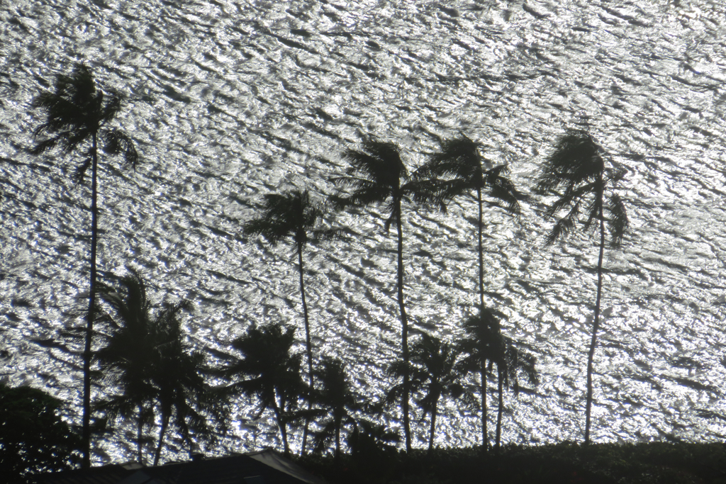 逆光に光る海面