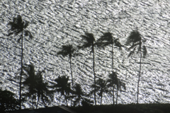 逆光に光る海面