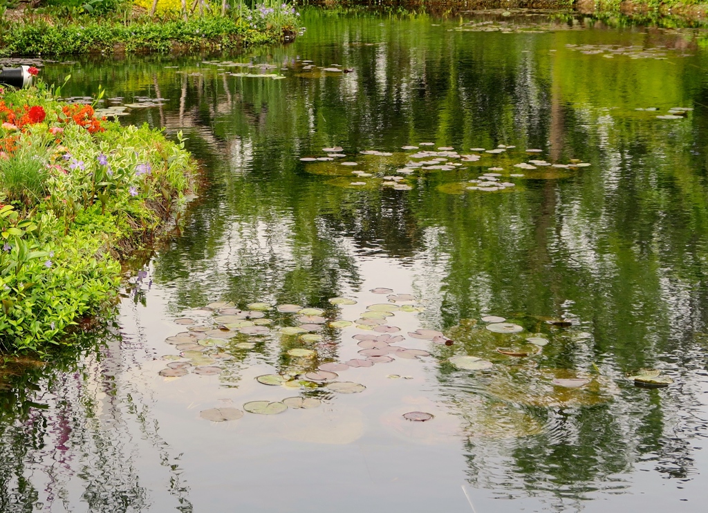 モネの睡蓮