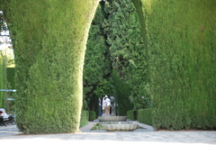 アルハンブラ宮殿　ヘネラリフェ庭園