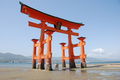 思ったより大きい