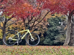 破損した自転車の修理が終わりました