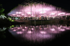 藤に集まる人々