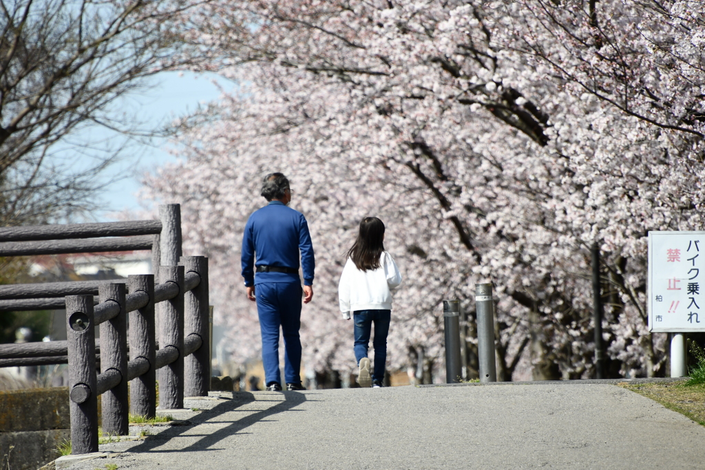 近所の遊歩道