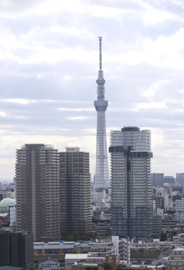 都会