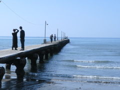 桟橋