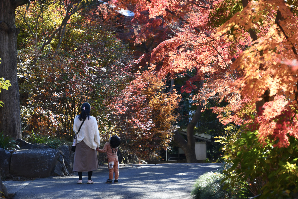 市内のお寺