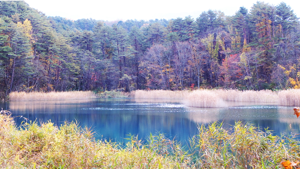山間の沼