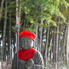 新年で新しい装い