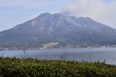 噴煙たなびく桜島