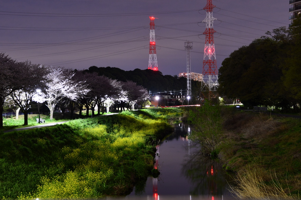 夜景