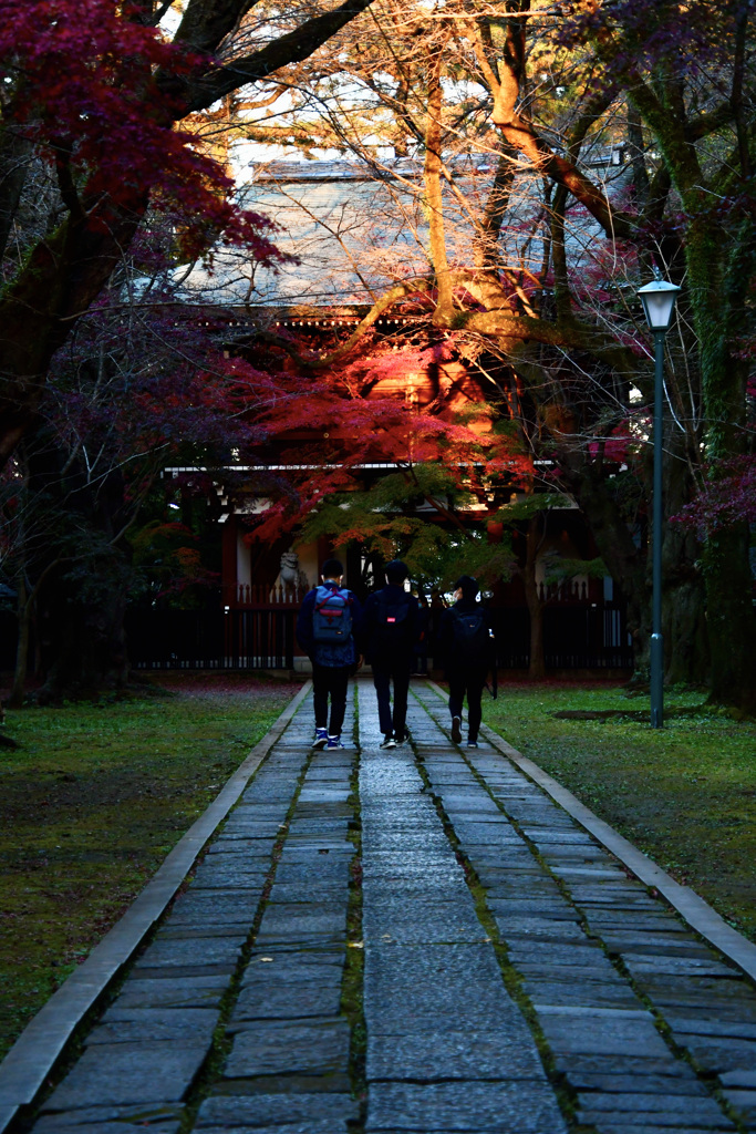 近所のお寺