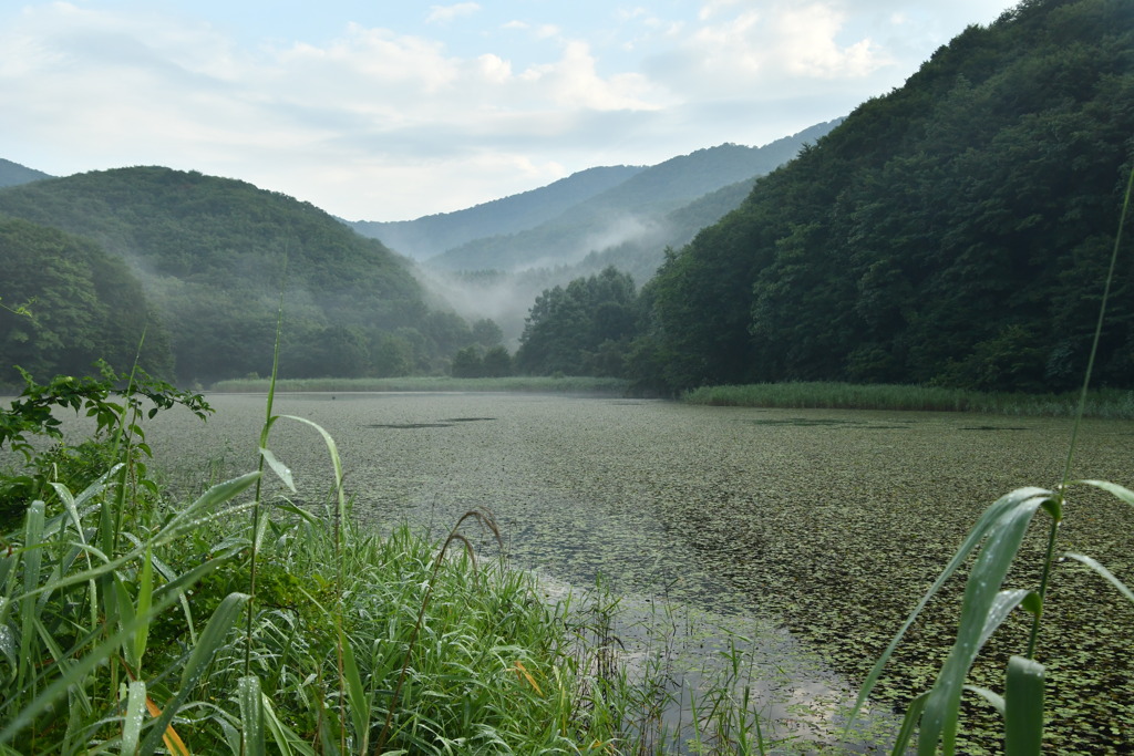 大沢沼