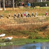 白鳥の横を更新