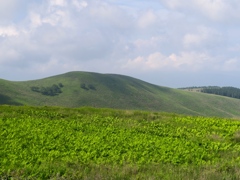 高原
