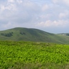 高原