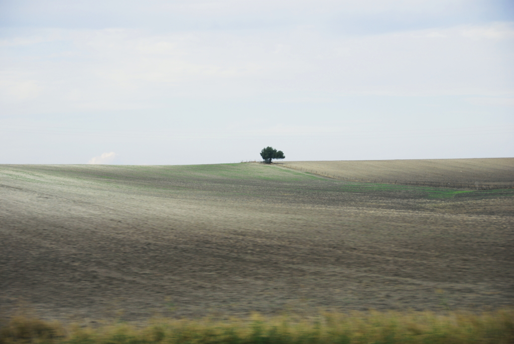 グラナダ郊外　スペイン