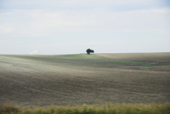 グラナダ郊外　スペイン