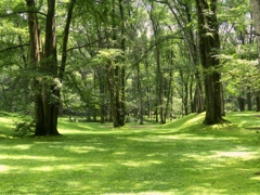 緑の庭園