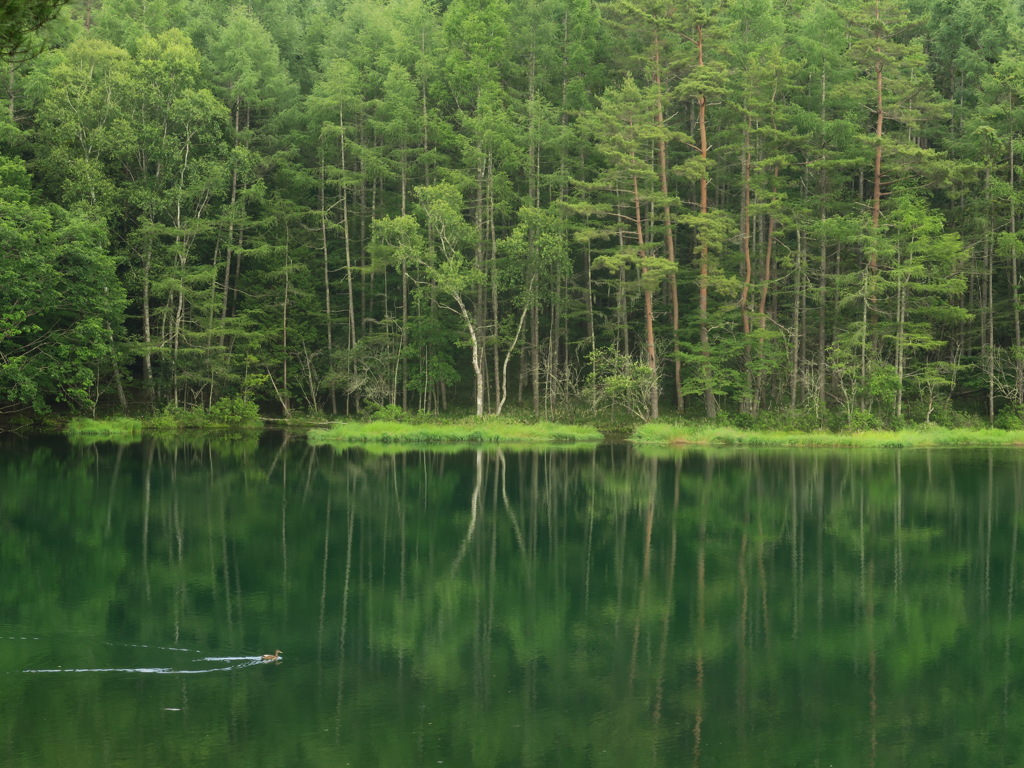 高原の湖