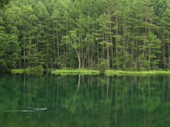 高原の湖