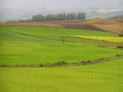 晩秋の北海道