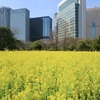 大都会の花園