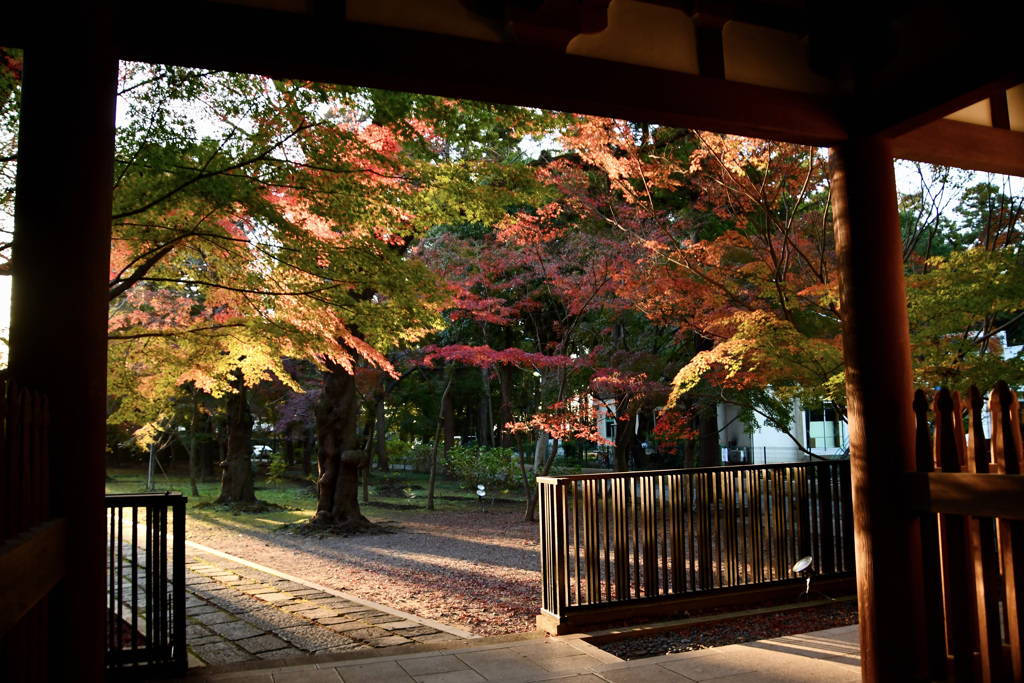 近所のお寺