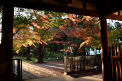 近所のお寺