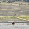 田植えの準備