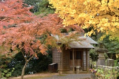 平将門が創建したお寺