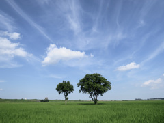 空は初夏
