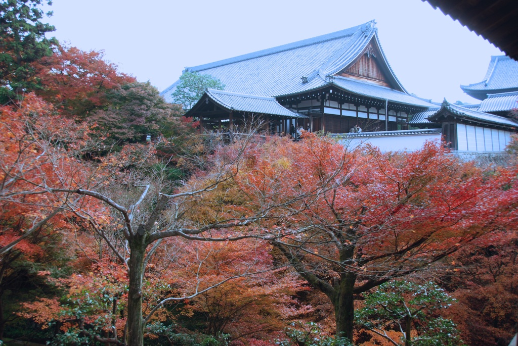 東福寺　京都