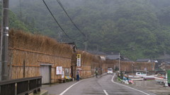 日本海の潮風避け　間垣