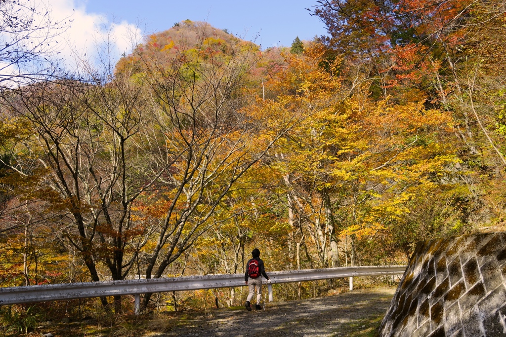 紅葉ハイキング