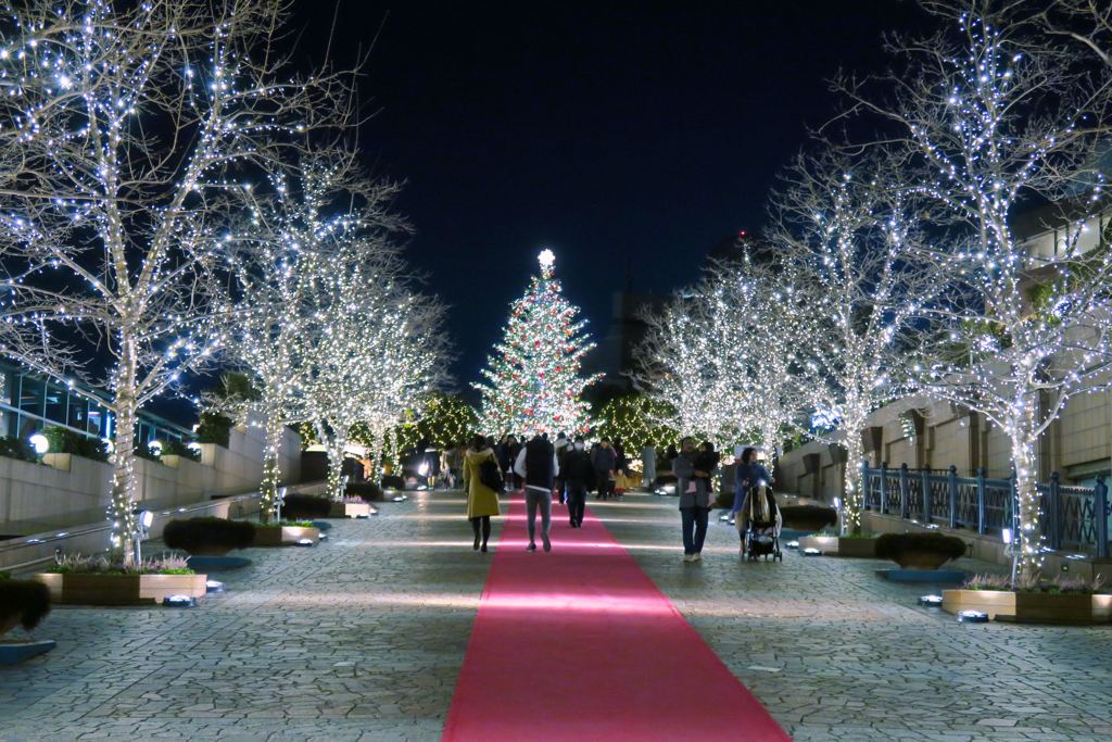 クリスマスイルミネーション