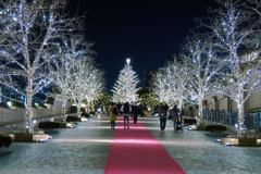 クリスマスイルミネーション